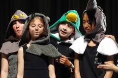 Brachvogelmausentemarabu