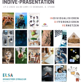 Elsa präsentiert – Spannende Indive-Vorträge