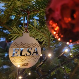 Weihnachtsgruß und Rückblick: Qualitätsanalyse am ELSA