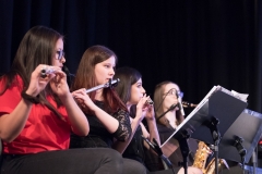Party_of_excellence_2019-115